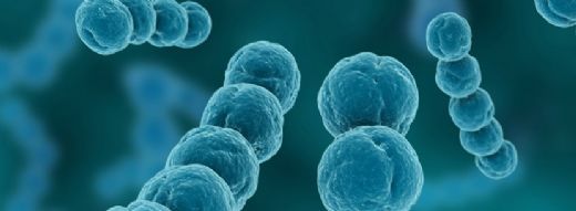 Akut Enfeksiyon Belirtileri ve Tedavisi